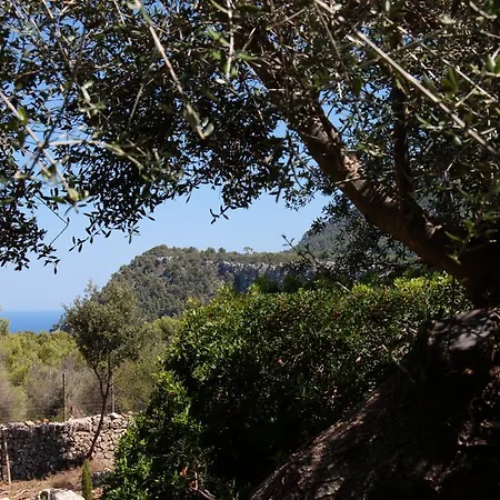 Ca's Garriguer Farm stay Valldemossa (Mallorca)