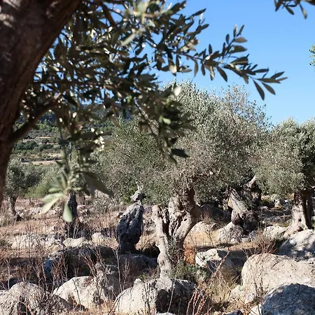 Ca's Garriguer Valldemossa (Mallorca)